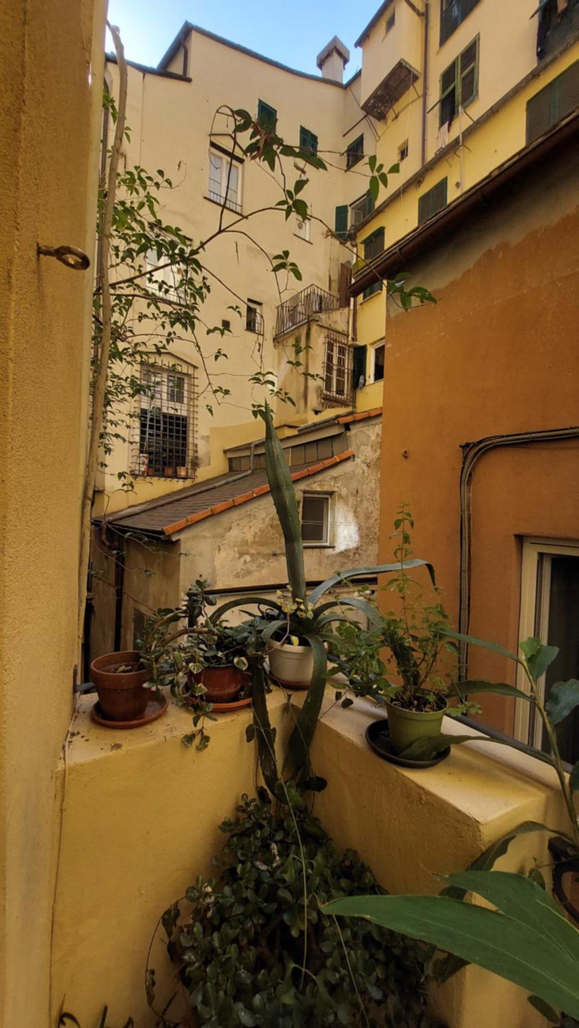 L'Angolo Verde In San Luca جنوة المظهر الخارجي الصورة